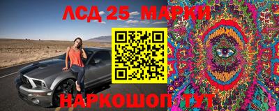 гидра Кулебаки