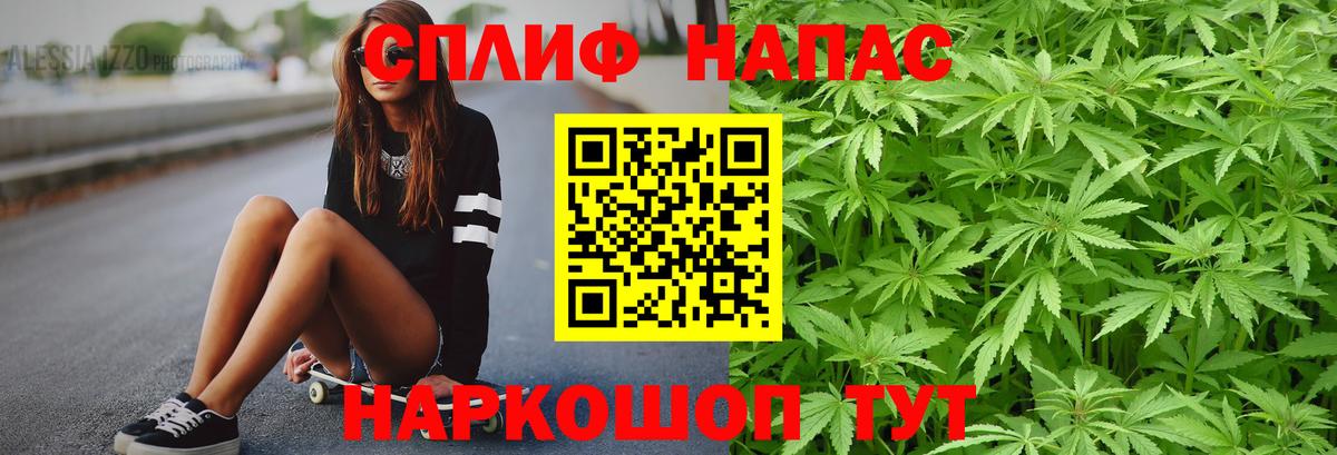 Шишки марихуана гибрид Каменка